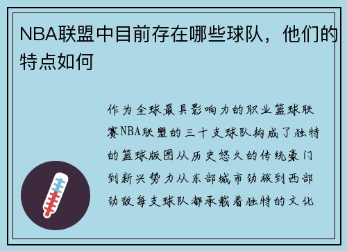 NBA联盟中目前存在哪些球队，他们的特点如何